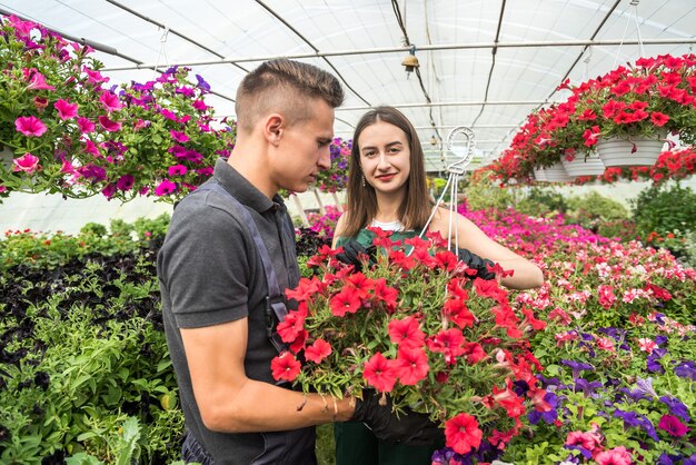 Jeune couple travaillant ensemble s'occupent des fleurs de couleur dans une grande serre