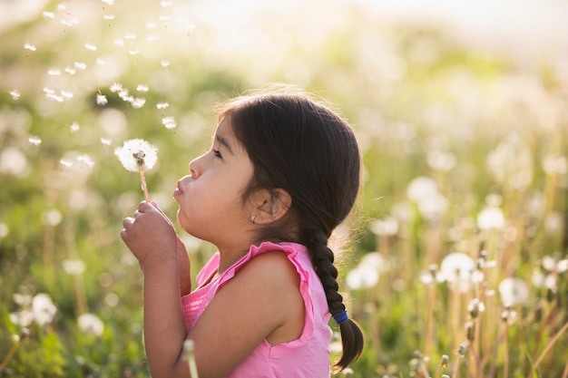 Un jeune enfant dans un champ de fleurs soufflant les graines duveteuses d'un réveil seedhead de pissenlit