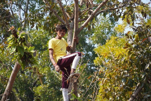 jeune enfant, garçon blond, arbre escalade