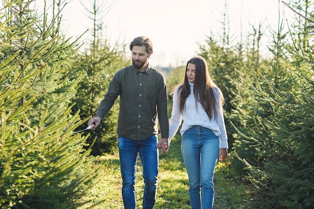 Jeune famille heureuse en choisissant l'arbre de Noël à la plantation, préparer les vacances d'hiver.