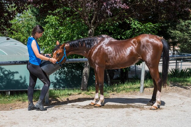 Jeune femelle donnant de l'eau au cheval