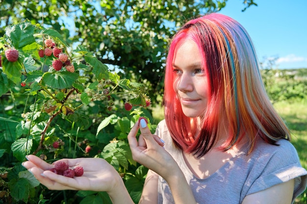 Jeune femme adolescente cueillant des framboises rouges mûres de la brousse, aliments naturels biologiques sains, fond de jardin ensoleillé d'été. Agriculture, agriculture, concept de jardinage.