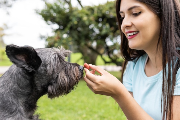 Photo une jeune femme adulte latine donne un bonbon à son schnauzer noir