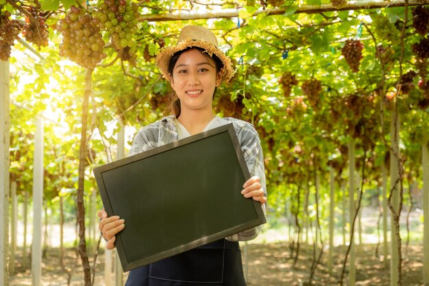 Jeune femme d'agriculteur d'Asie tenant un tableau noir dans un vignoble de raisins, concept de fruits biologiques sains.