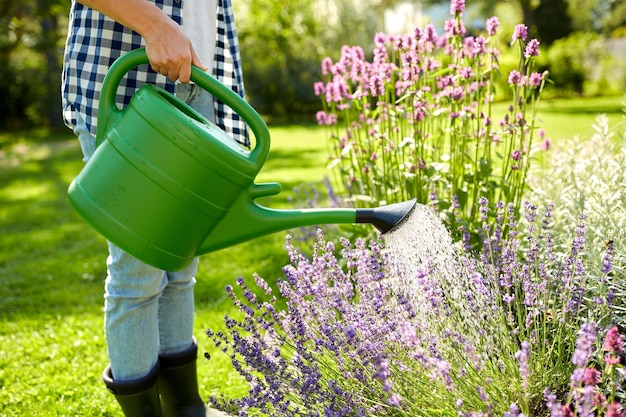 une jeune femme arrosant des fleurs dans le jardin