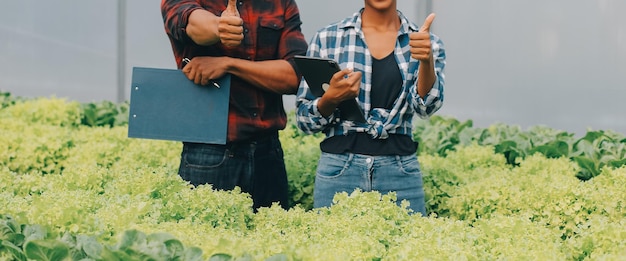 Photo une jeune femme asiatique et un agriculteur âgé travaillent ensemble dans une ferme de légumes de salade hydroponique biologique le propriétaire d'un jardin de légumes moderne utilise une tablette numérique pour inspecter la qualité de la laitue dans le jardin de serre