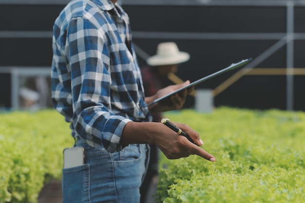 Jeune femme asiatique et agriculteur senior travaillant ensemble dans une ferme de légumes à salade hydroponique biologique