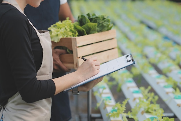 Jeune femme asiatique et agriculteur senior travaillant ensemble dans une ferme de légumes à salade hydroponique biologique