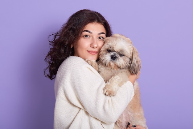 Jeune femme aux cheveux ondulés foncés tenant Pékinois dans les mains et l'étreint, dame à la recherche directe, femelle avec son chiot préféré, fille portant un pull tricoté blanc chaud contre le mur lilas.