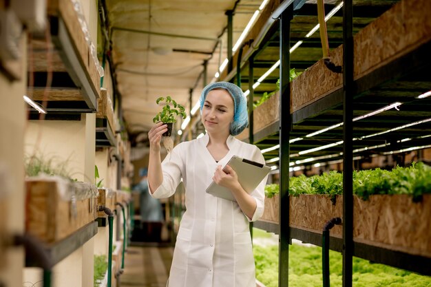 Jeune femme biotechnologiste à l'aide de tablette pour vérifier la qualité et la quantité de légumes dans la ferme hydroponique