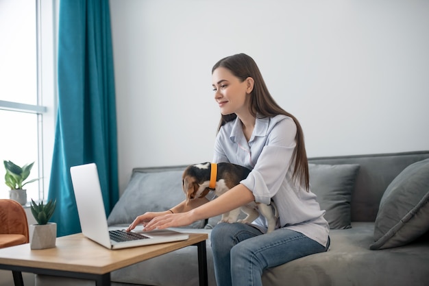 Jeune femme brune avec un chiot mignon assis devant l'ordinateur portable