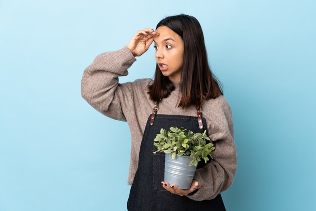 Jeune femme brune de race mixte tenant une plante sur le mur bleu avec une expression surprise tout en regardant de côté