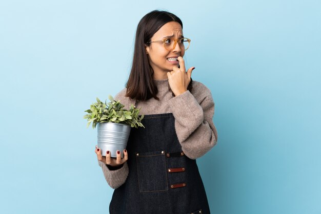 Jeune femme brune de race mixte tenant une plante sur le mur bleu isolé nerveux et effrayé