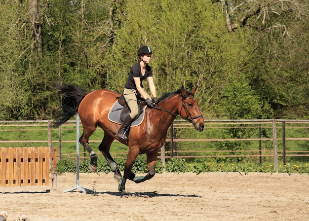 Jeune femme avec un cheval brun saute un obstacle