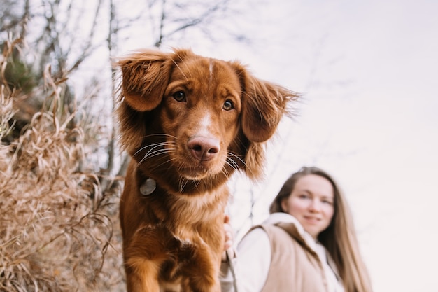 Jeune femme et chien retriever marche sur la rive de la rivière à la saison d'automne