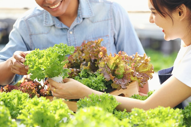 Une jeune femme cueille des légumes dans une ferme hydroponique, avec l'aide d'un jeune homme. Tous les deux sont heureux.