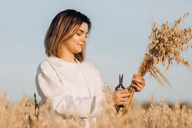 Une jeune femme dans un champ d'avoine tient un tas d'épis de maïs mûrs.