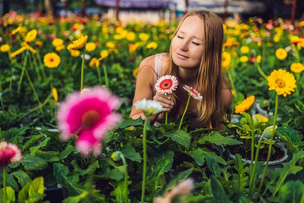 Une jeune femme dans une ferme de gerberas. Culture de fleurs dans des serres. Une serre avec des gerbers. Plantes de fleurs de marguerite en serre