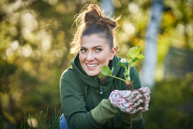 Jeune femme dans le jardin travaillant sur la fraise déposée