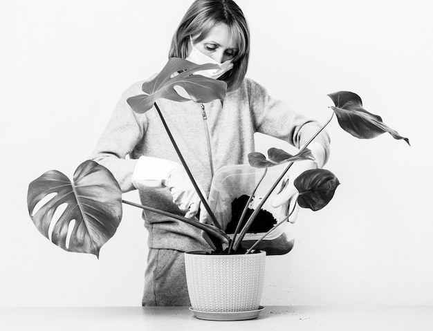 Jeune femme dans un masque médical pelle le sol dans un pot de fleur avec une plante tropicale monstera