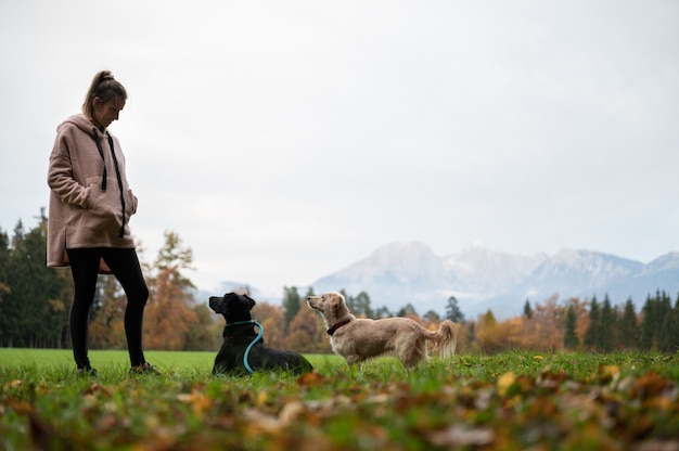 Jeune femme debout dans un pré vert formant ses deux chiens en la regardant attentivement.