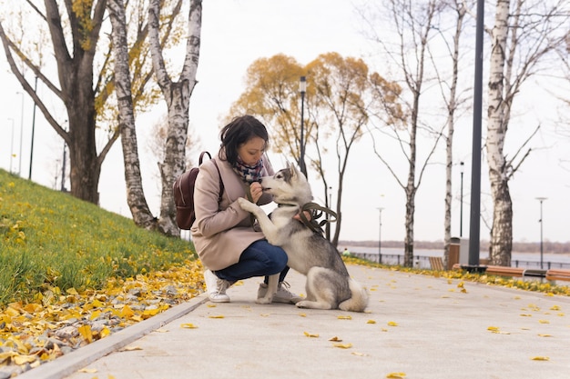 Jeune femme dressant son chien husky dans le parc côtier d'automne