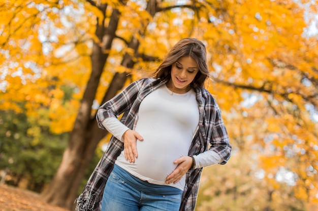 Jeune femme enceinte dans le parc en automne