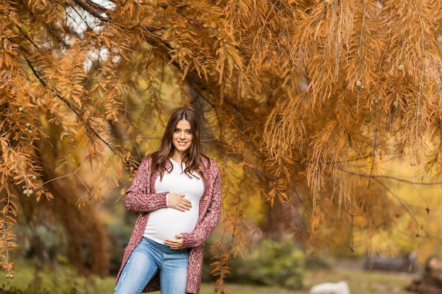 Jeune femme enceinte dans le parc en automne