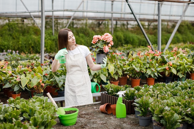 Jeune femme fleuriste pulvérisant de l'eau sur les plantes d'intérieur dans des pots de fleurs par pulvérisateur