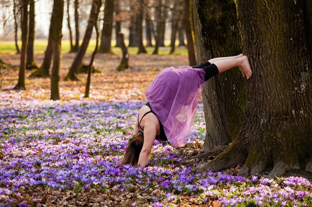 Jeune femme heureuse appréciant la nature dans la forêt de printemps et se sentant libre d'essayer de faire le poirier Beau champ de fleurs de crocus violet en fleurissant dans la forêt de printemps