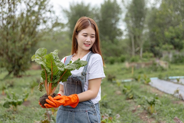 jeune femme jardinier à l'aide de deux mains pour tenir la plante en bonne santé l