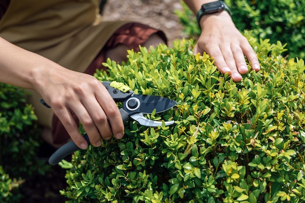 Jeune femme jardinier avec des ciseaux de jardin à la main debout devant la maison de jardin