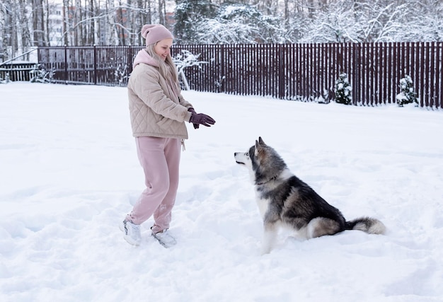 Jeune femme jouant avec un chien husky sibérien dans la neige le jour de l'hiver, entraînant et promenant son chien de compagnie. Amitié, beau chien, meilleur animal de compagnie, chien pour une promenade avec son propriétaire