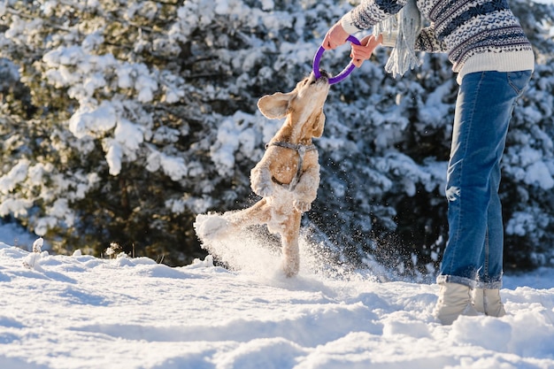 Une jeune femme joue avec son chien dans la forêt d'hiver