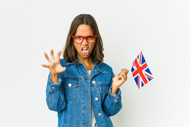 Jeune femme latine tenant un drapeau anglais isolé sur blanc montrant des griffes imitant un chat, geste agressif.