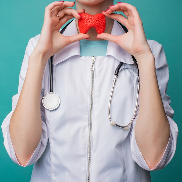 Photo une jeune femme médecin tient dans ses mains un modèle de la thyroïde d'une personne. le concept de protection et de traitement