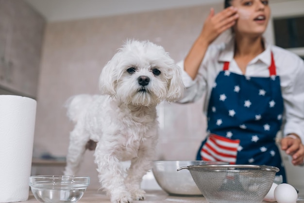 Jeune femme et mignon chien maltais blanc sur la table