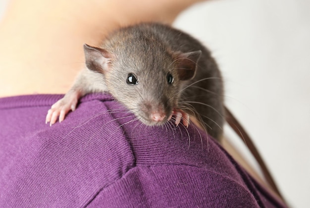 Photo une jeune femme avec un mignon gros plan de rat drôle