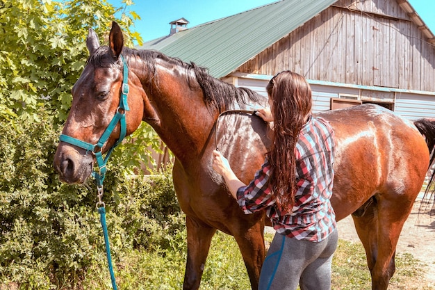 Une jeune femme nettoie un cheval après le bain