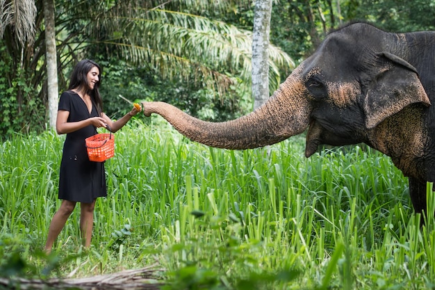 Photo une jeune femme nourrissant un éléphant.