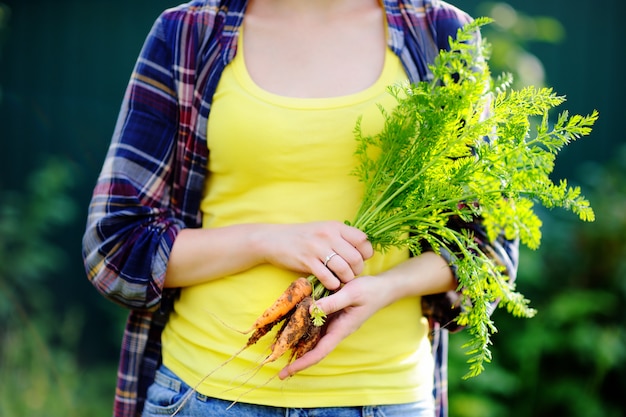 jeune femme pendant les vendanges. Gros plan, photo, frais, bio, carottes biologiques, main fille