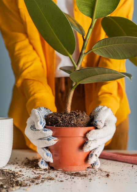 Jeune femme, plantation, chez soi