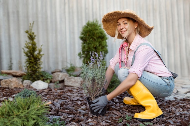 Une jeune femme plante un buisson de lavande dans le sol Concept de jardinage fleuriste plante des fleurs dans le jardin d'été