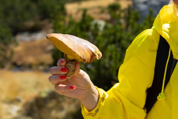 Une jeune femme ramasse des champignons dans la forêt.