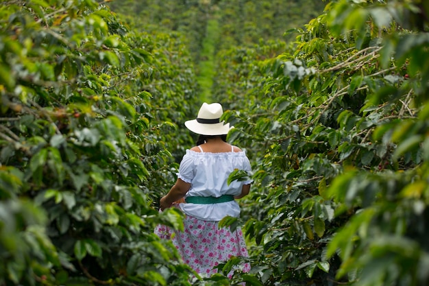 Jeune femme ramasser des grains de café en Colombie