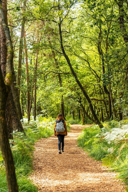 Photo une jeune femme en randonnée sur le lac de paimpont dans la forêt de brocéliande, département d'ille-et-vilaine, bretagne, près de rennes. la france