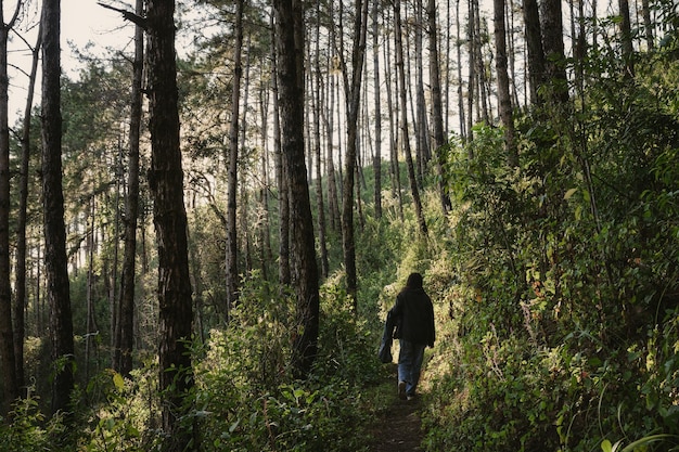 Jeune femme randonneuse asiatique marchant sur un sentier dans la forêt tropicale au parc national