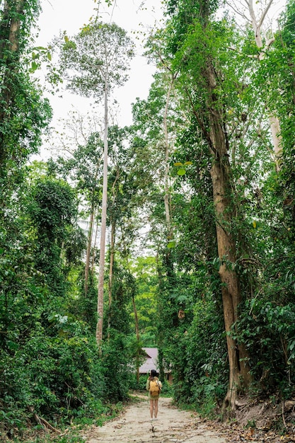 Une jeune femme randonneuse se tient dans la forêt tropicale luxuriante et regarde l'effet de décalage d'inclinaison des arbres appliqué sur les bords