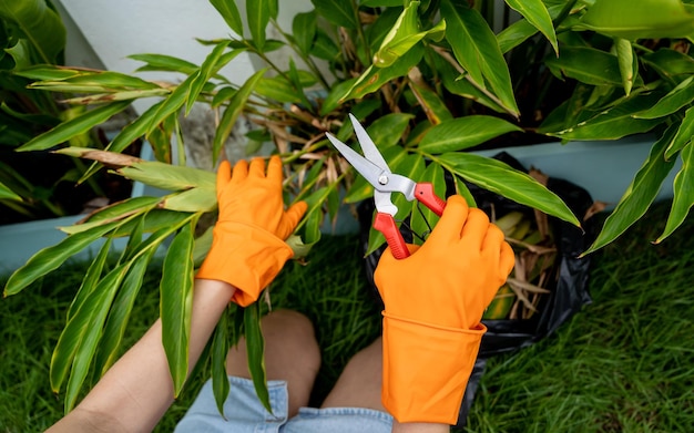 Une jeune femme s'occupe du jardin, arrose, fertilise et écarte les plantes.