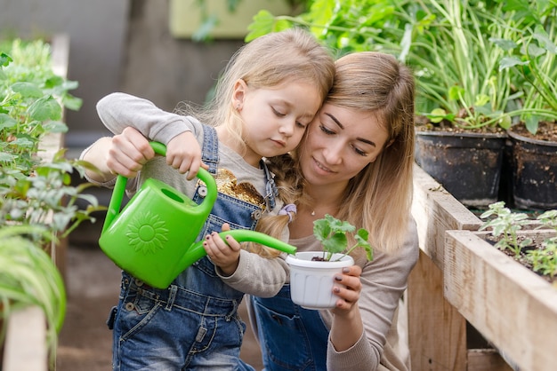 Une jeune femme avec sa petite fille plante une plante en pot au printemps dans une serre.